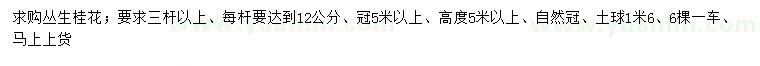求購叢生桂花