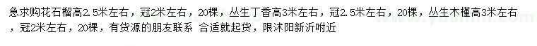 求購花石榴、叢生丁香、叢生木槿