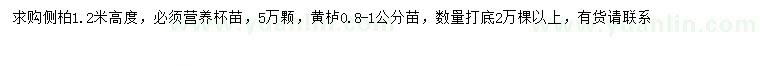求購(gòu)高1.2米側(cè)柏、0.8-1公分黃櫨