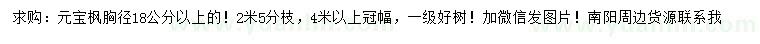 求購胸徑18公分以上元寶楓
