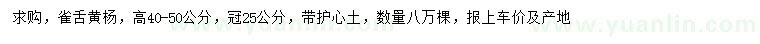 求購(gòu)高40-50公分雀舌黃楊