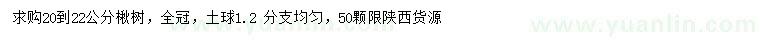 求購20-22公分楸樹