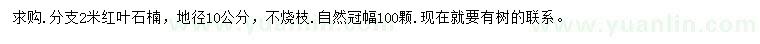 求購(gòu)地徑10公分紅葉石楠