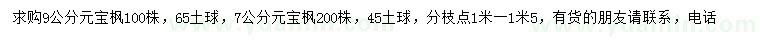 求購7、9公分元寶楓