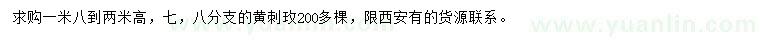 求購(gòu)高1.8-2米黃刺玫