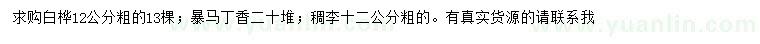 求購白樺、暴馬丁香、稠李