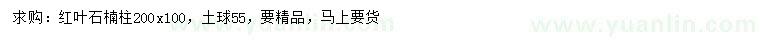 求購200*100公分紅葉石楠柱