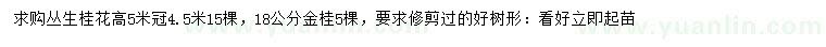 求購高5米叢生桂花、18公分金桂