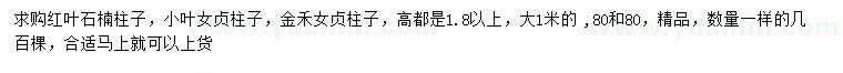 求購(gòu)紅葉石楠、小葉女貞、金禾女貞