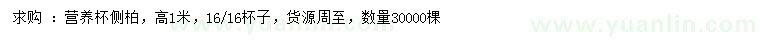 求購高1米側(cè)柏