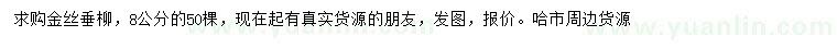 求購8公分金絲垂柳