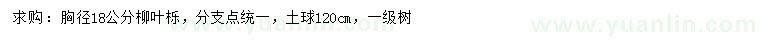求購(gòu)胸徑18公分柳葉櫟