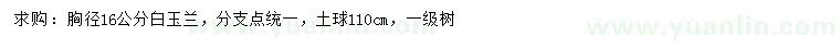 求購胸徑16公分白玉蘭