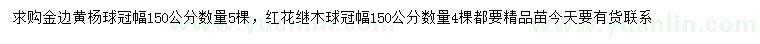 求購冠幅150公分金邊黃楊球、紅茶繼木球