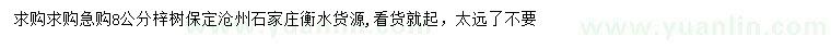 求購8公分梓樹