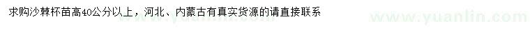 求購高40公分以上沙棘苗