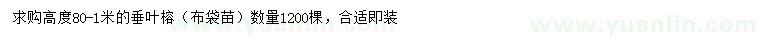 求購高80-100公分垂葉榕