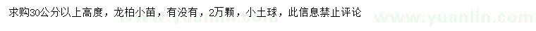 求購高30公分以上龍柏