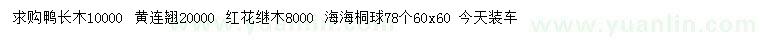 求購鴨長木、黃連翹、紅花繼木等