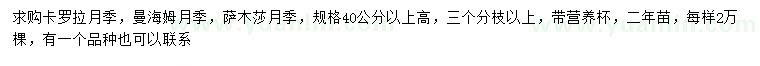 求購卡羅拉月季、曼海姆月季、薩木莎月季