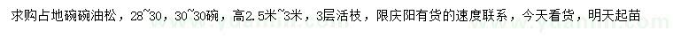 求購高2.5-3米油松