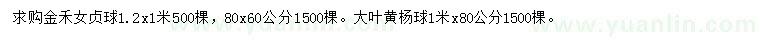 求購120*100、80*60公分金禾女貞球、100*80公分大葉黃楊球