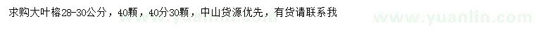 求購28-30、40公分大葉榕