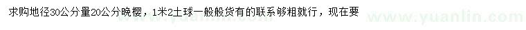 求購地徑30公分量20公分晚櫻