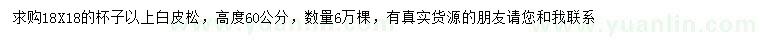 求購高60公分白皮松