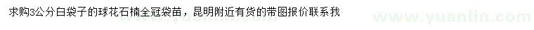 求購3公分球花石楠