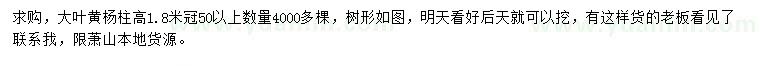 求購(gòu)高1.8米大葉黃楊柱