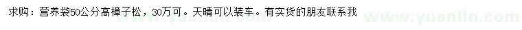 求購高50公分樟子松