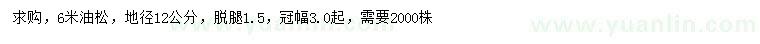 求購地徑12公分油松