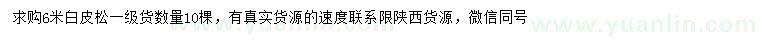 求購6米白皮松