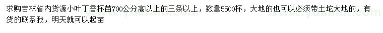 求購高700公分以上小葉丁香