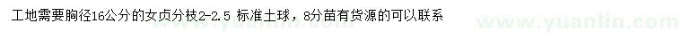 求購胸徑16公分女貞