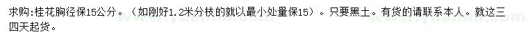 求購胸徑保15公分桂花