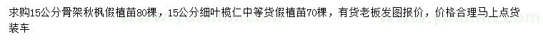 求購15公分骨架秋楓、細(xì)葉欖仁