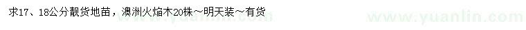 求購17、18公分澳洲火焔木