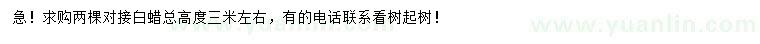 求購(gòu)高3米左右對(duì)接白蠟