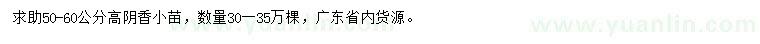 求購高50-60公分陰香小苗