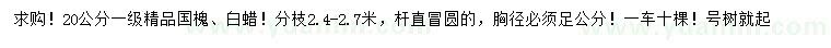 求購胸徑足20公分精品國槐、白蠟