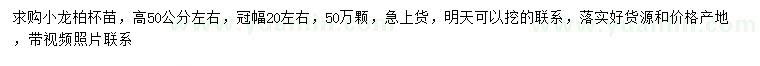 求購高50公分左右小龍柏