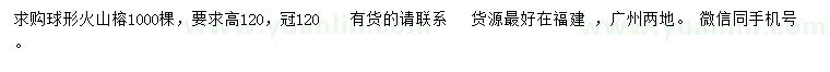 求購(gòu)高120公分球形火山榕