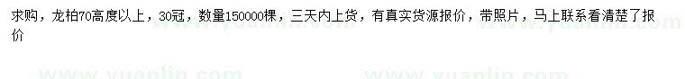 求購高70公分以上龍柏