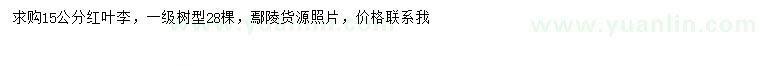 求購15公分紅葉李