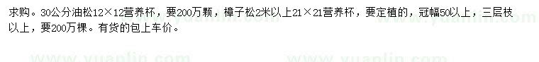 求購30公分油松、冠幅50公分以上樟子松
