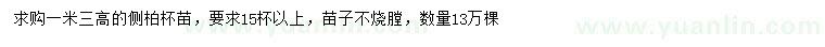 求購高1.3米側(cè)柏苗