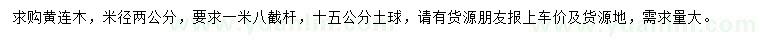 求購米徑2公分黃連木