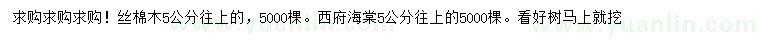 求購5公分以上絲棉木、西府海棠